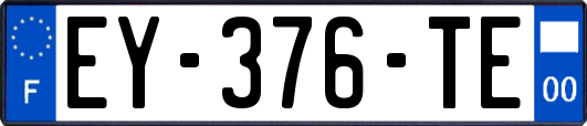 EY-376-TE