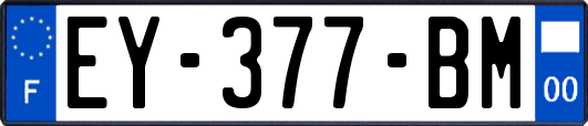 EY-377-BM