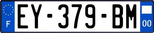 EY-379-BM