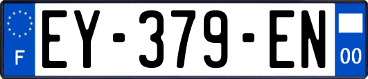 EY-379-EN