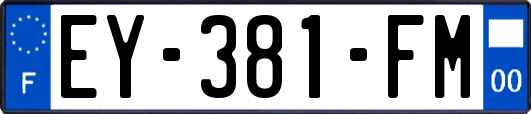 EY-381-FM
