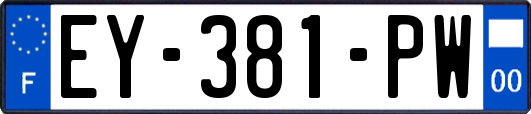 EY-381-PW