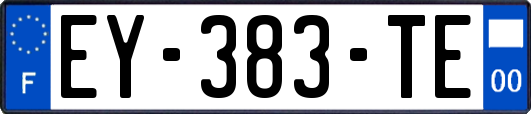 EY-383-TE