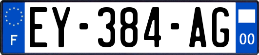 EY-384-AG