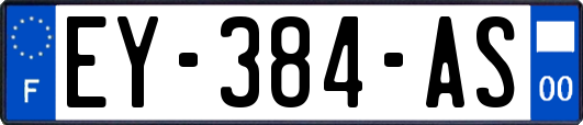 EY-384-AS