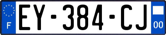 EY-384-CJ