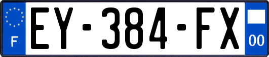EY-384-FX
