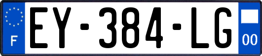 EY-384-LG