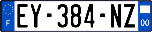EY-384-NZ