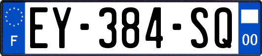 EY-384-SQ