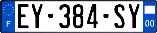 EY-384-SY