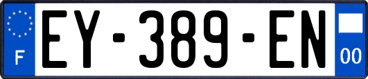 EY-389-EN