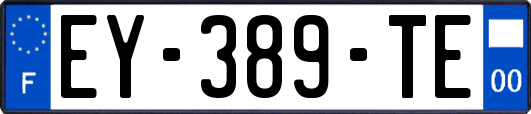EY-389-TE