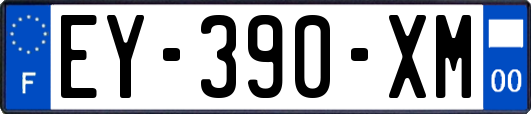 EY-390-XM