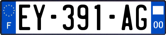 EY-391-AG