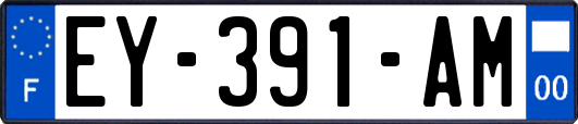 EY-391-AM