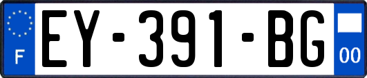 EY-391-BG