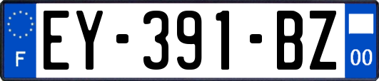 EY-391-BZ