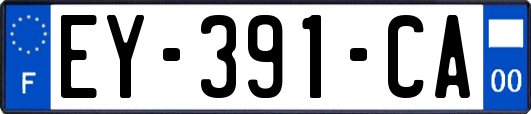 EY-391-CA