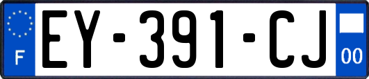 EY-391-CJ