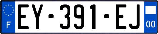 EY-391-EJ