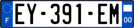 EY-391-EM