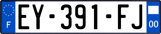 EY-391-FJ