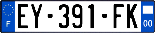 EY-391-FK