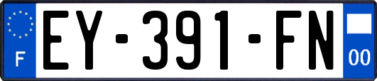 EY-391-FN