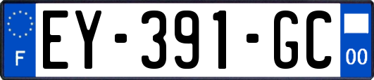EY-391-GC