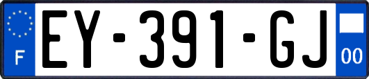 EY-391-GJ
