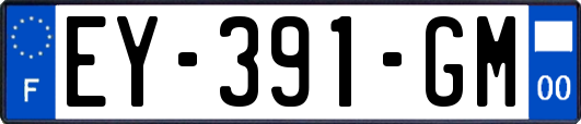 EY-391-GM