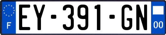 EY-391-GN