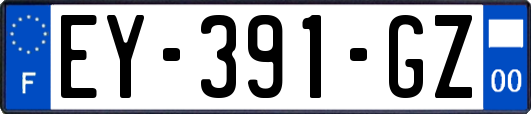 EY-391-GZ