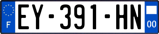 EY-391-HN