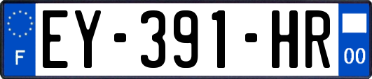 EY-391-HR