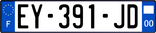 EY-391-JD