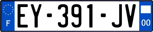 EY-391-JV