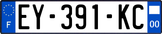 EY-391-KC