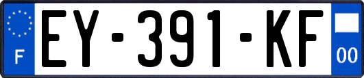 EY-391-KF
