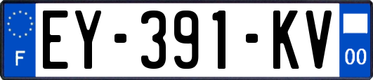 EY-391-KV