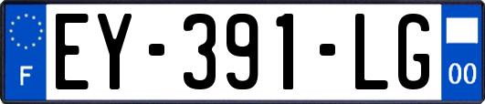 EY-391-LG