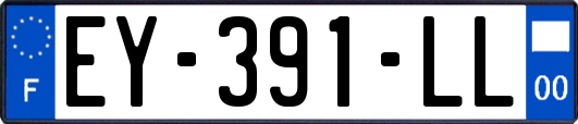 EY-391-LL
