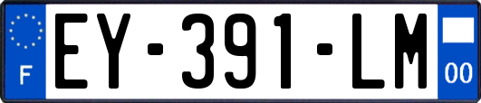 EY-391-LM