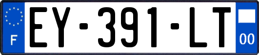 EY-391-LT