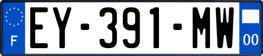 EY-391-MW