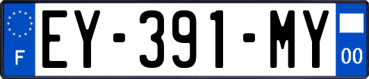EY-391-MY