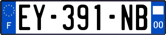 EY-391-NB