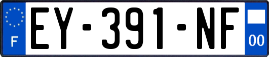 EY-391-NF