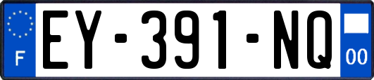 EY-391-NQ